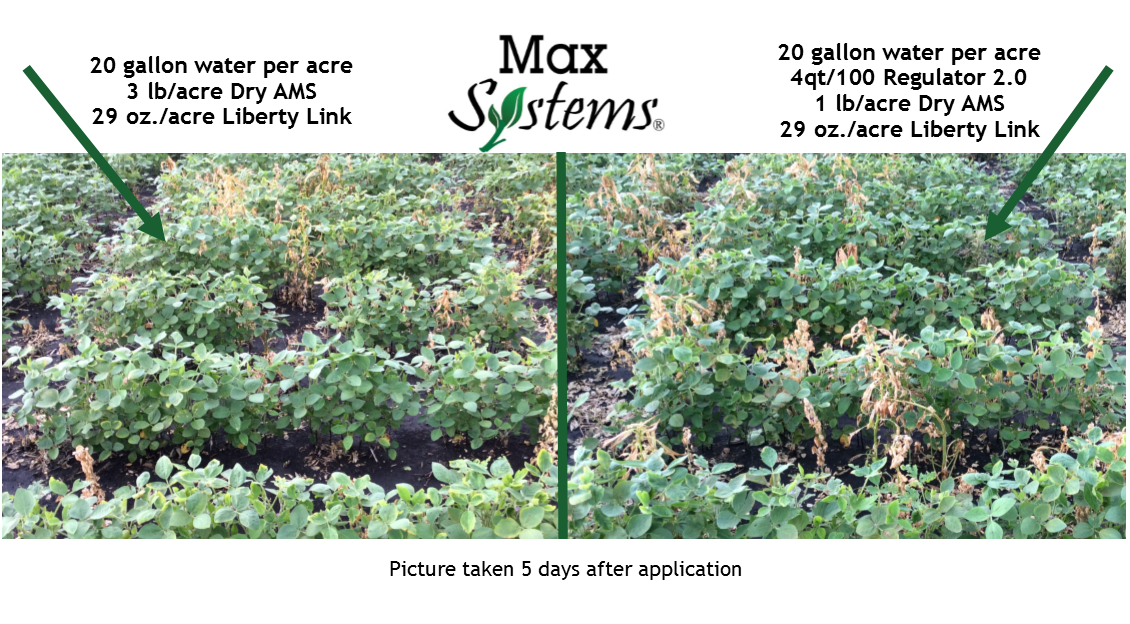 Max Systems Llc Ll Ams Vs And Regulator 2 0