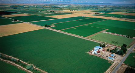 Farm Land