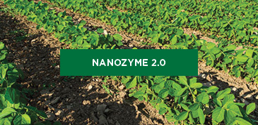 NanoZyme 2.0